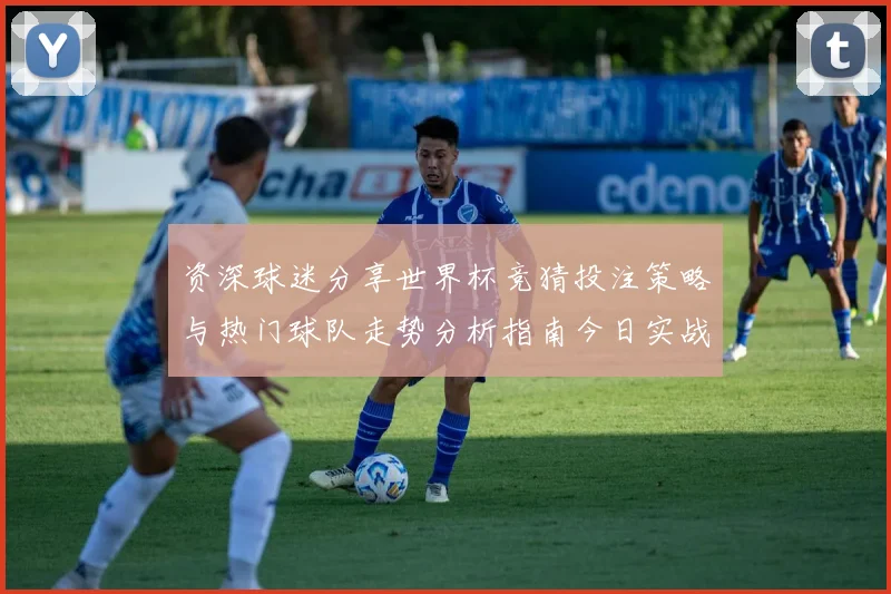 资深球迷分享世界杯竞猜投注策略与热门球队走势分析指南今日实战