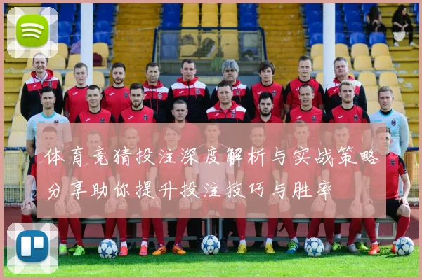 体育竞猜投注深度解析与实战策略分享助你提升投注技巧与胜率
