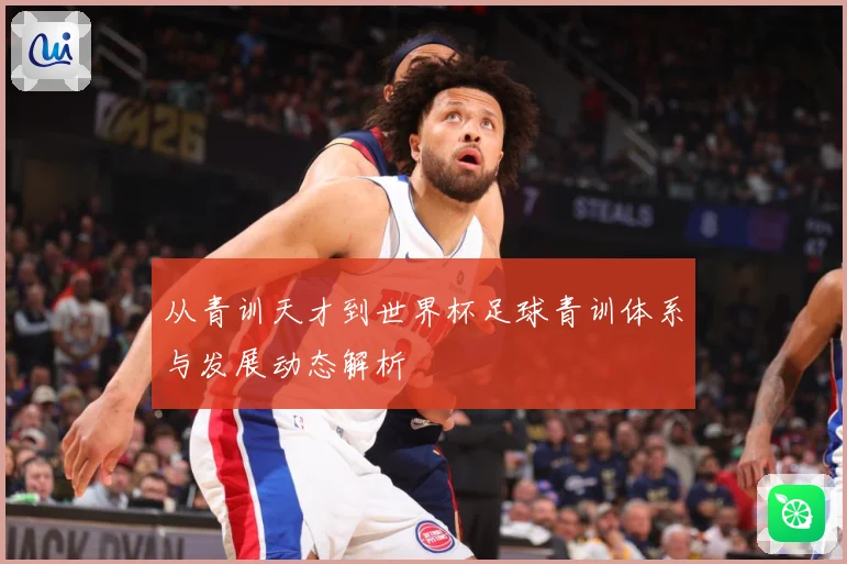 从青训天才到世界杯足球青训体系与发展动态解析