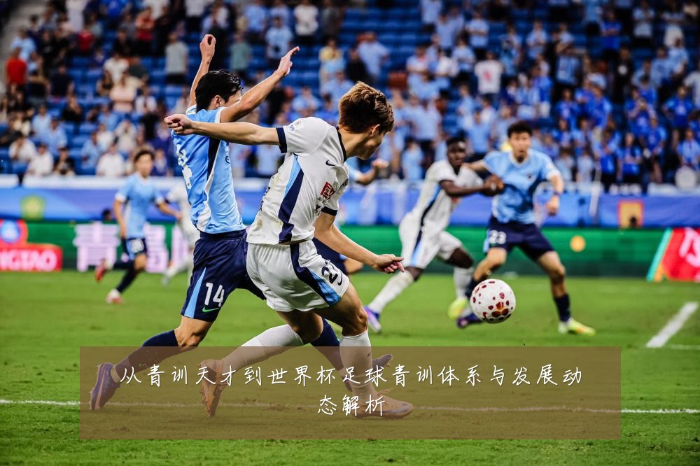 从青训天才到世界杯足球青训体系与发展动态解析