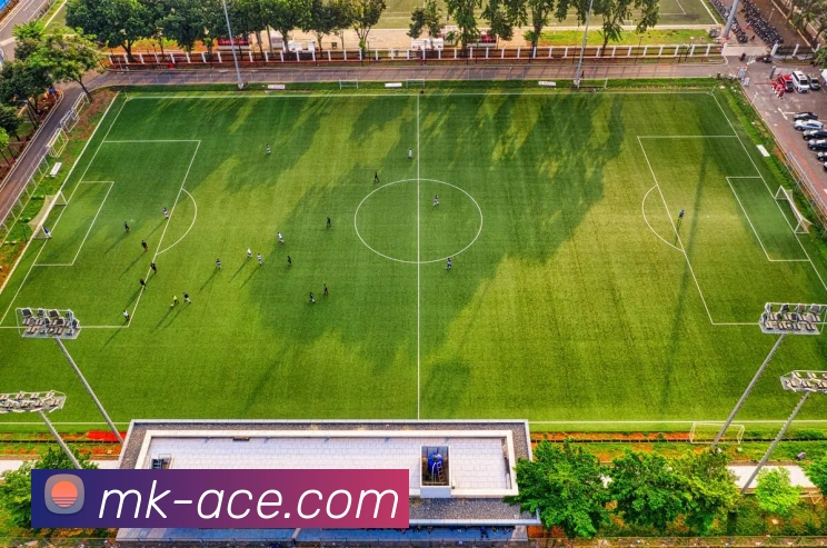 MK体育平台展示图